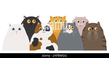 Cat poster. Cartoon cat characters collection. Different cat`s poses and emotions set. Flat color simple style design. Vector illustration Stock Vector